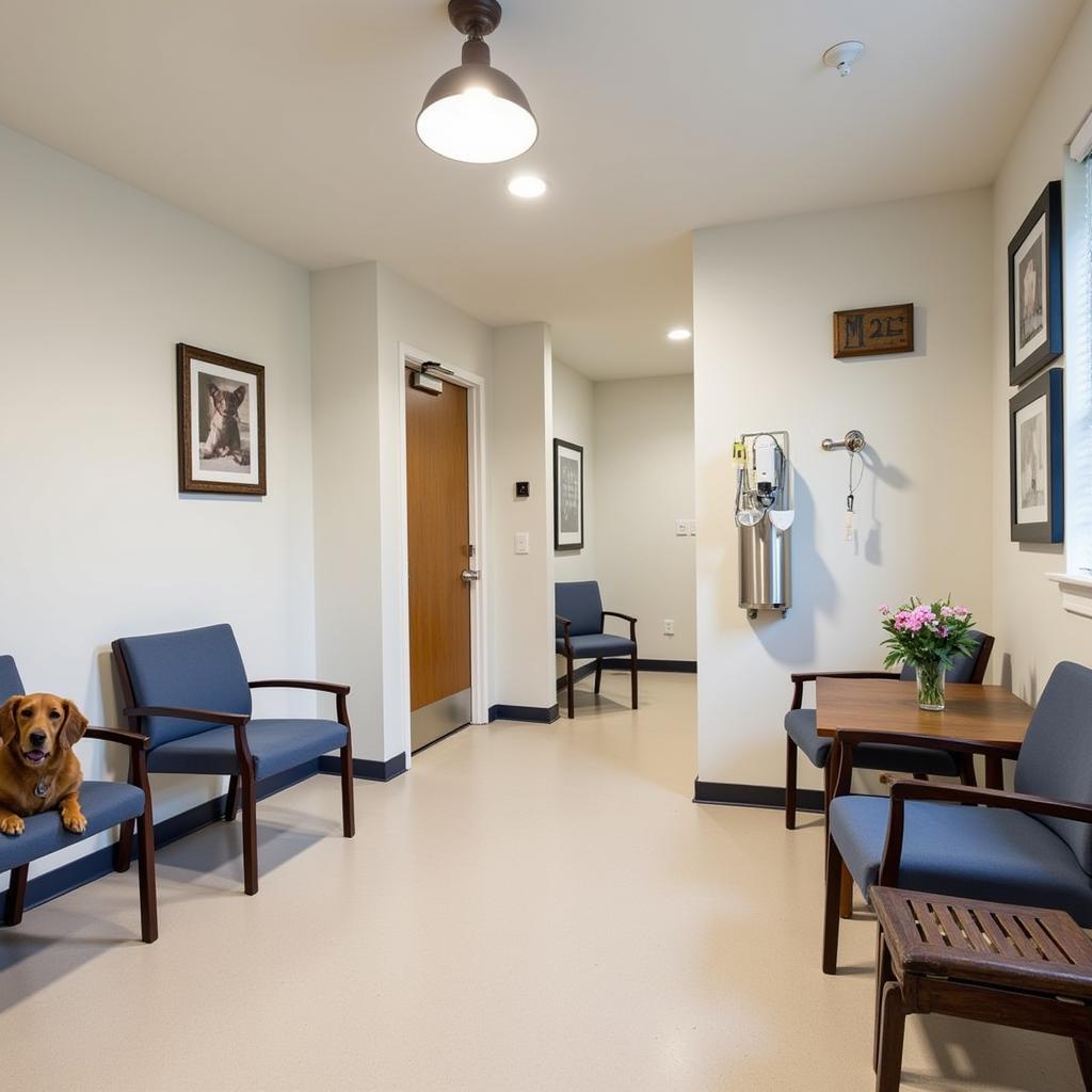 Comfortable and welcoming waiting room at Celina Animal Hospital