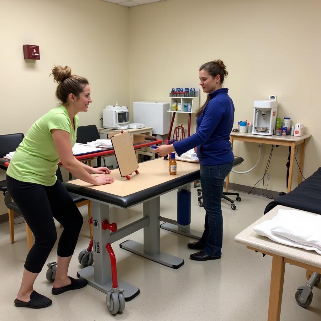 Occupational Therapy at Chapman Convalescent Hospital