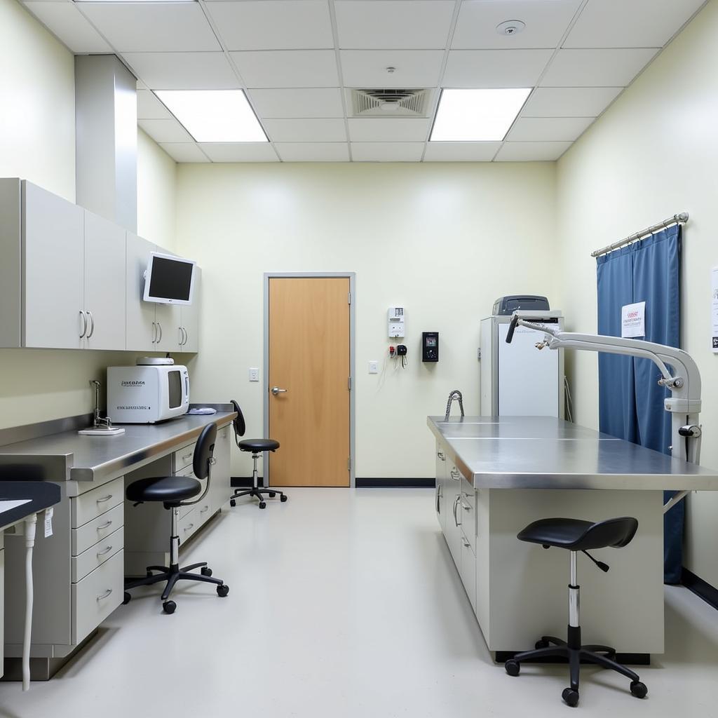 Modern Exam Room at Cherry Creek Veterinary Hospital