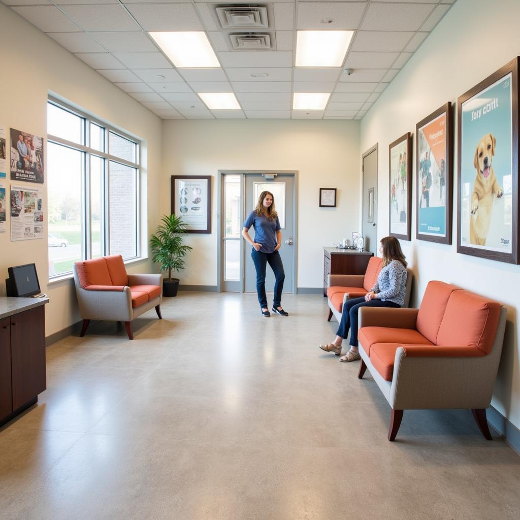 Welcoming Waiting Area at Cornerstone Animal Hospital