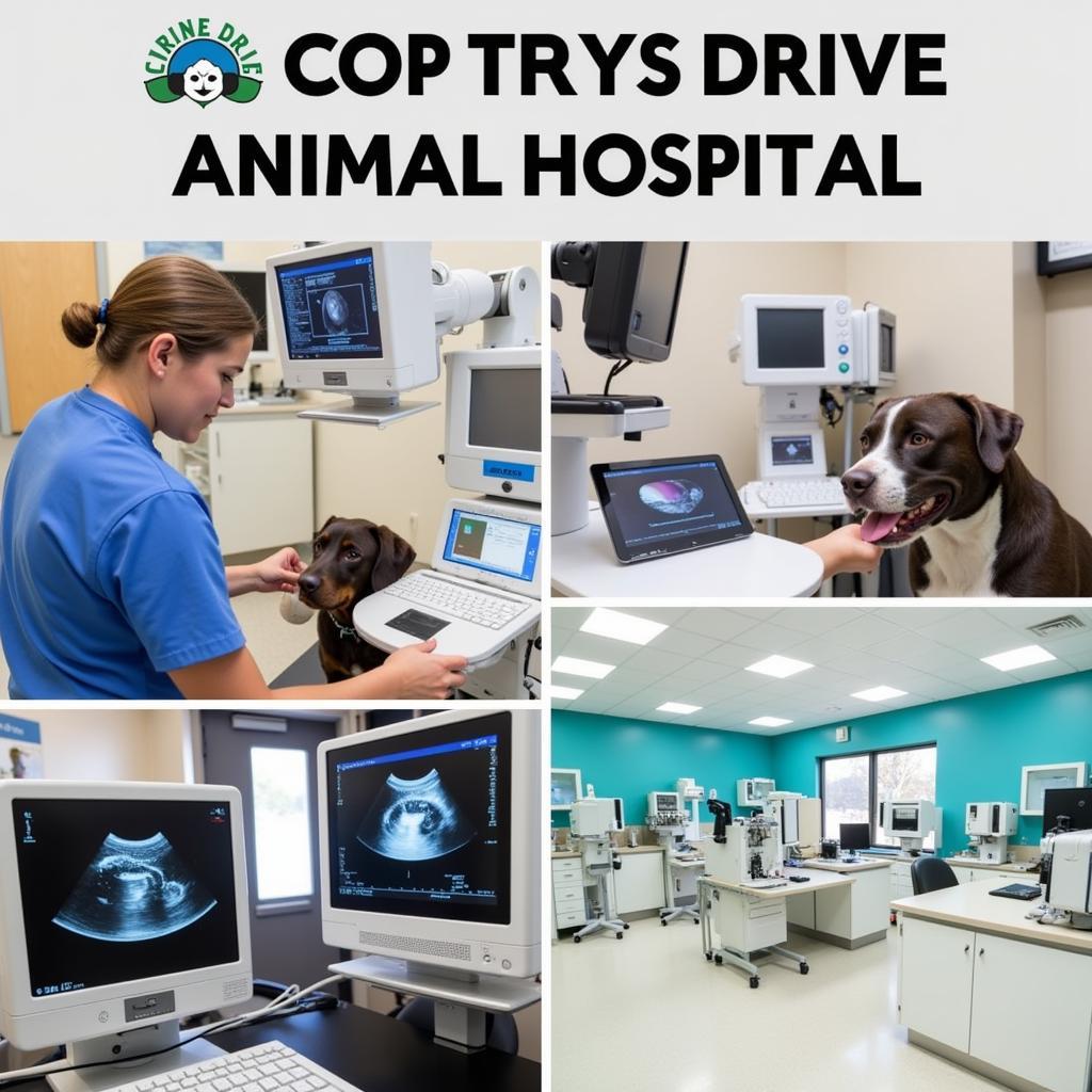 Advanced Technology at Corrine Drive Animal Hospital