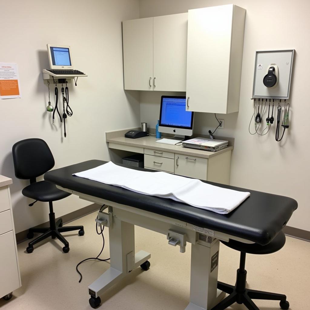 Dawsonville Veterinary Hospital Exam Room