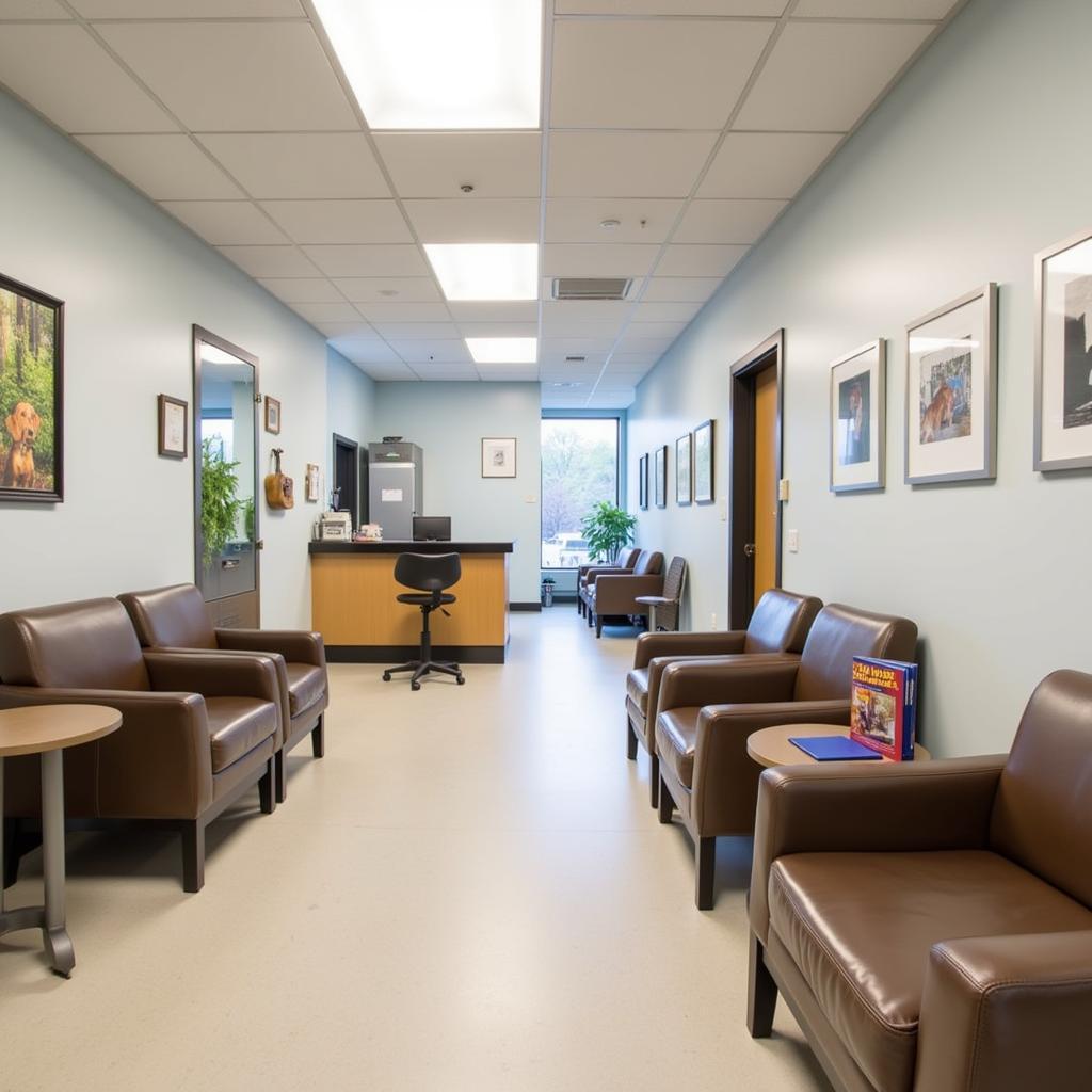 Comfortable Waiting Room at Deerfield MA Animal Hospital