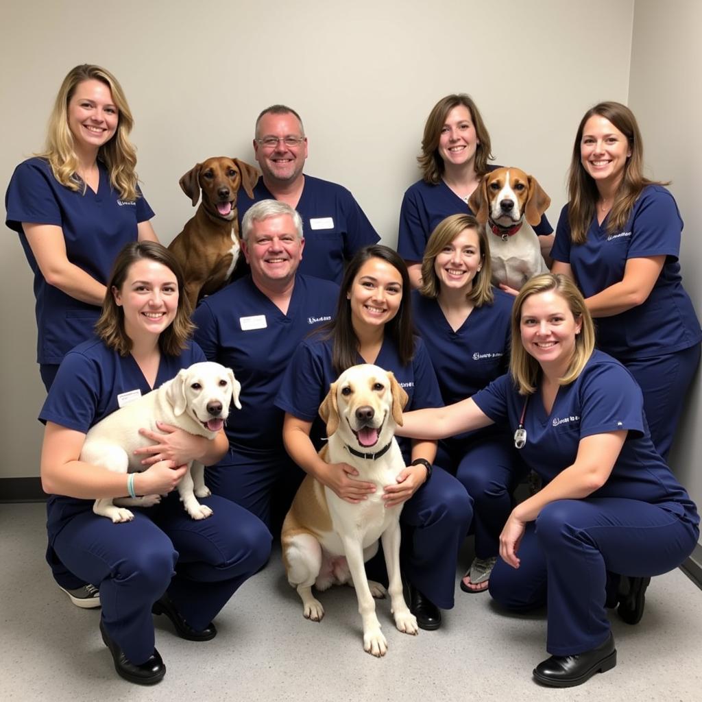 Dedicated Veterinary Team at Dickson City Animal Hospital