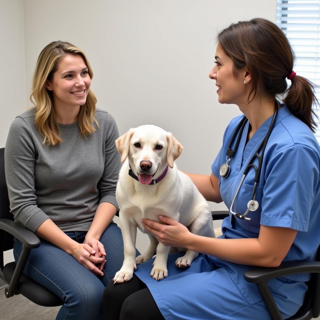 Pet owner discussing their pet's health with a veterinarian in Dickson, TN