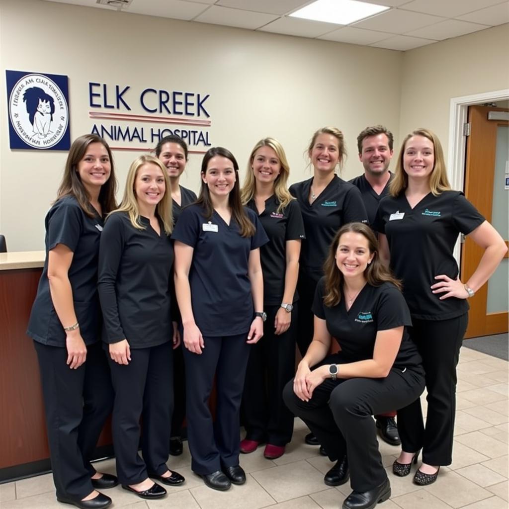 Experienced and compassionate veterinary team at Elk Creek Animal Hospital