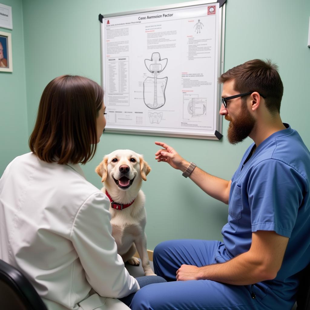 Evaluating a State Road Animal Hospital by Asking Questions and Observing the Facility