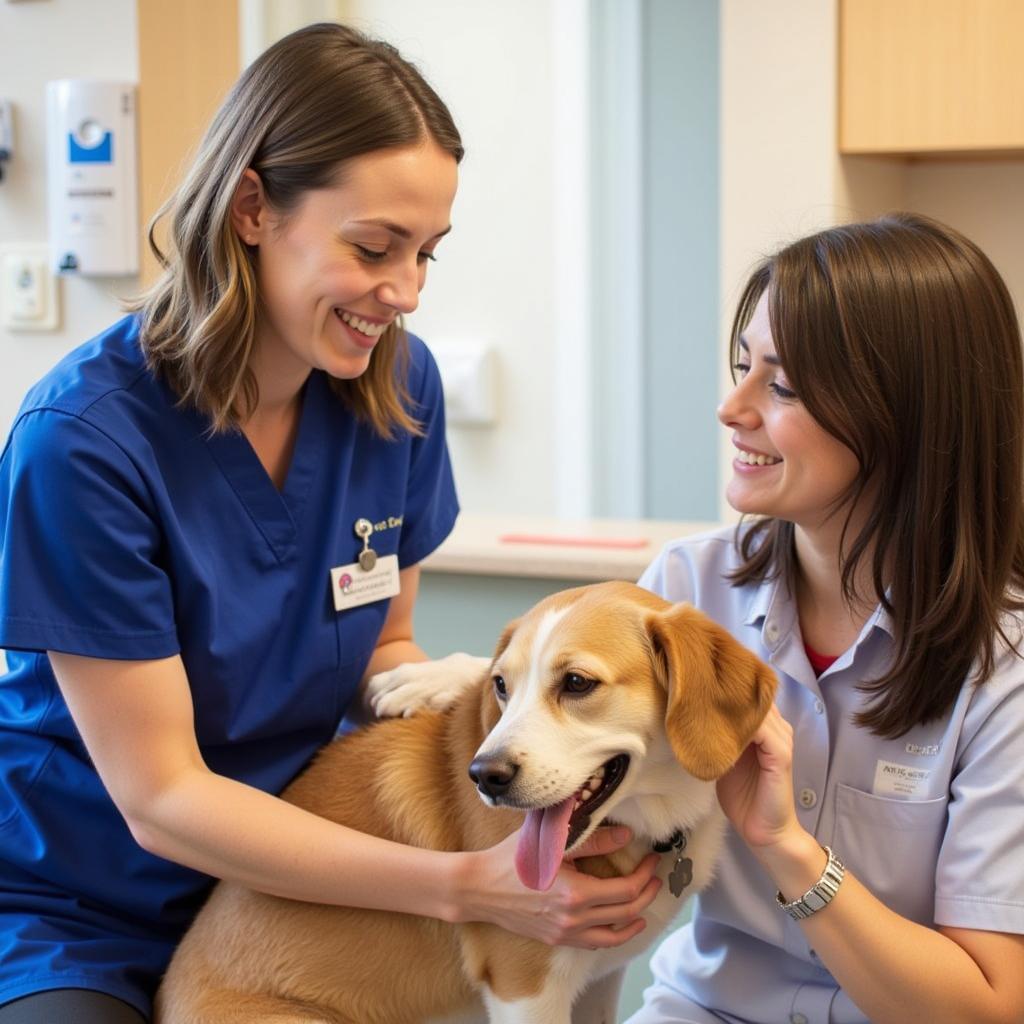 Happy Pet Owner with their Pet at Somerset Veterinary Hospital