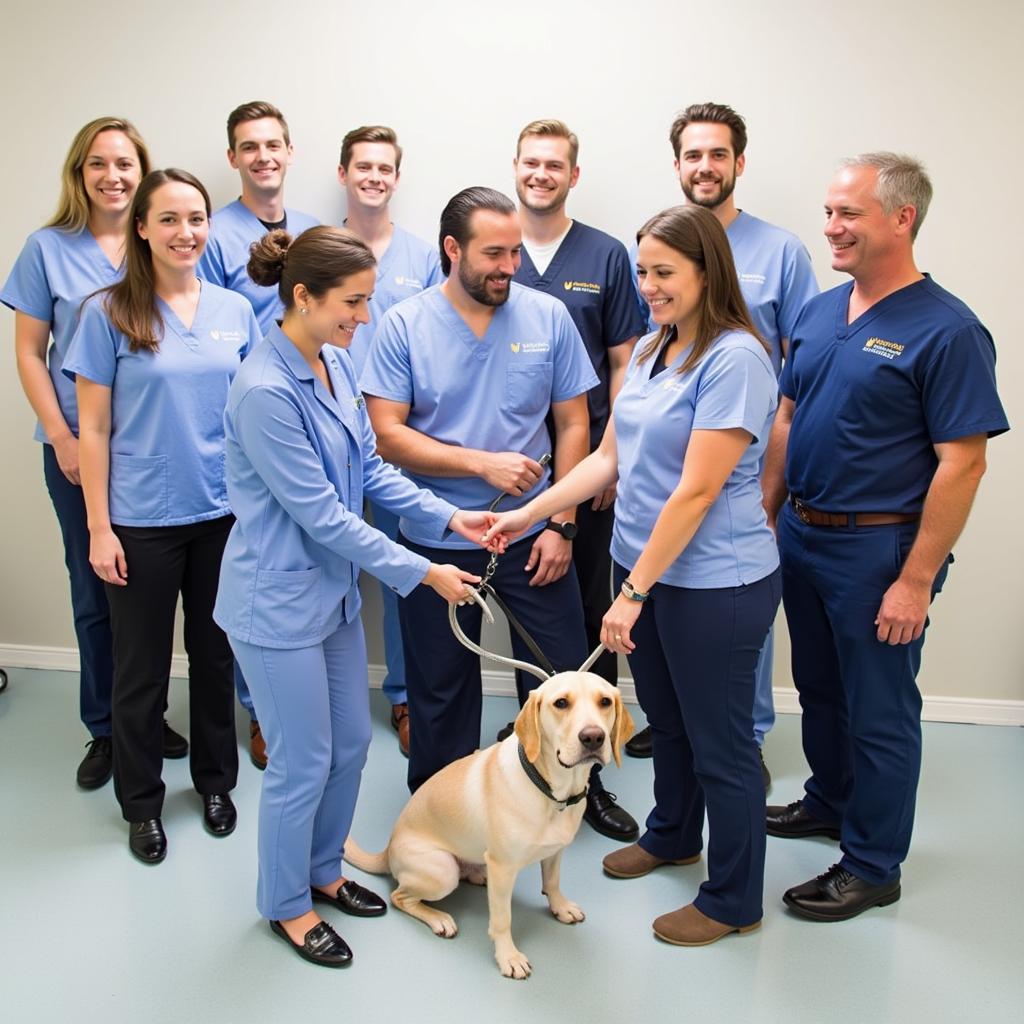 Friendly and professional veterinary team at Kempsville Veterinary Hospital