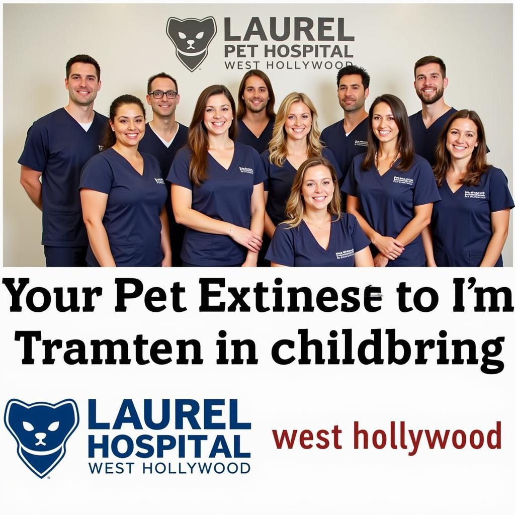 Compassionate and experienced veterinary team at Laurel Pet Hospital West Hollywood