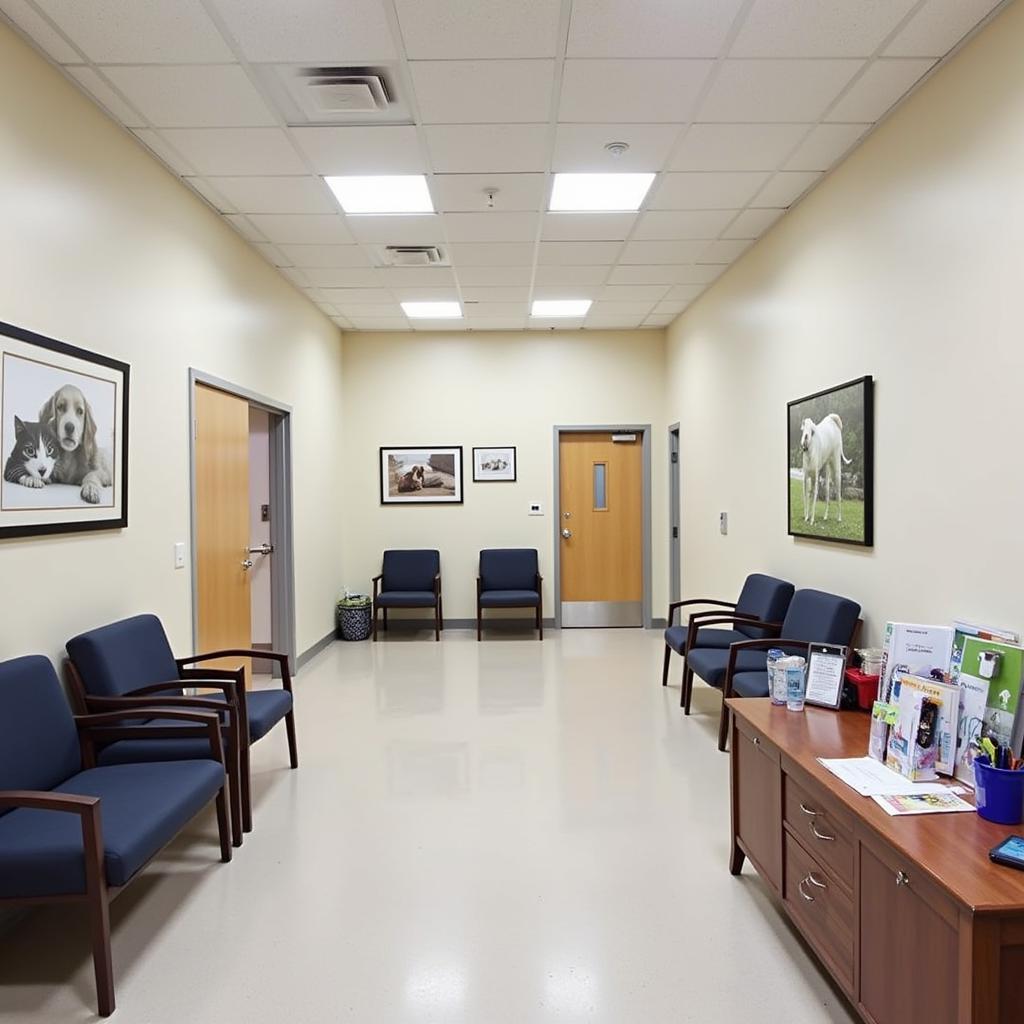 Comfortable and welcoming waiting area at Lynwood Cat and Dog Hospital