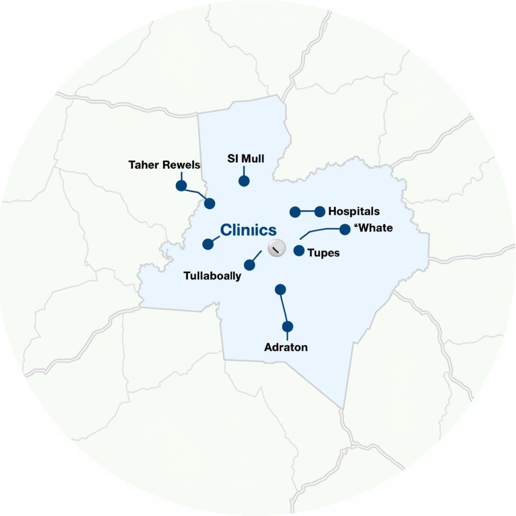 Map Displaying Locations of Hospitals and Clinics in Tullahoma, TN