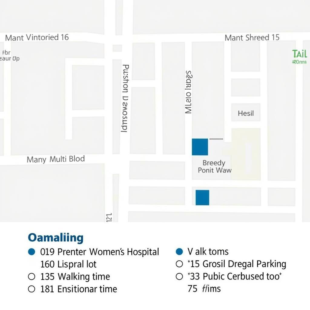 Map highlighting nearby public parking options near Prentice Women's Hospital