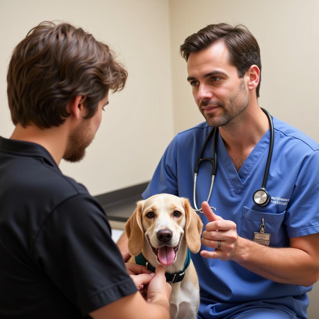 Veterinarian Consulting with Pet Owner at Northwest Animal Hospital Grapevine