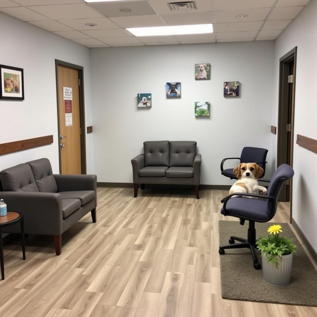 Comfortable and welcoming waiting area at Palm Harbor Animal Hospital