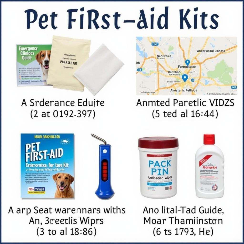 Essential items for a pet first-aid kit in Mount Washington