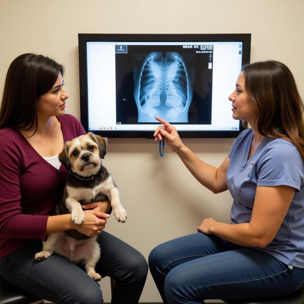 Pet Owner Consulting with Veterinarian at Oakleaf Plantation Area Animal Hospital