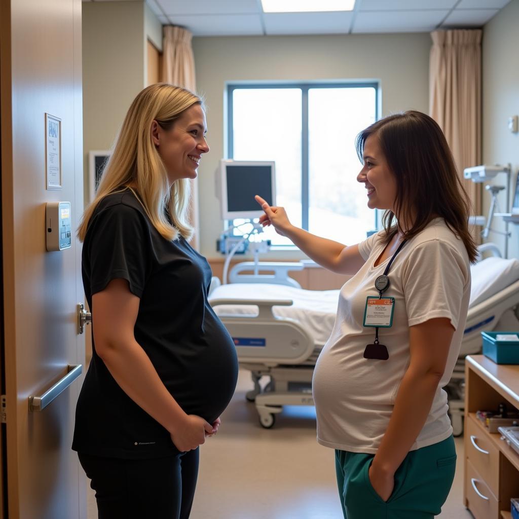 Pregnant Woman on a Hospital Tour