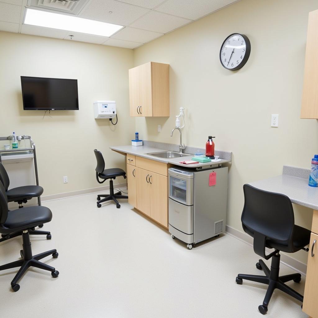 Pruyn Vet Hospital Exam Room