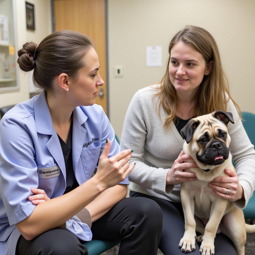 Veterinarian Discussing Preventative Care with Pet Owner