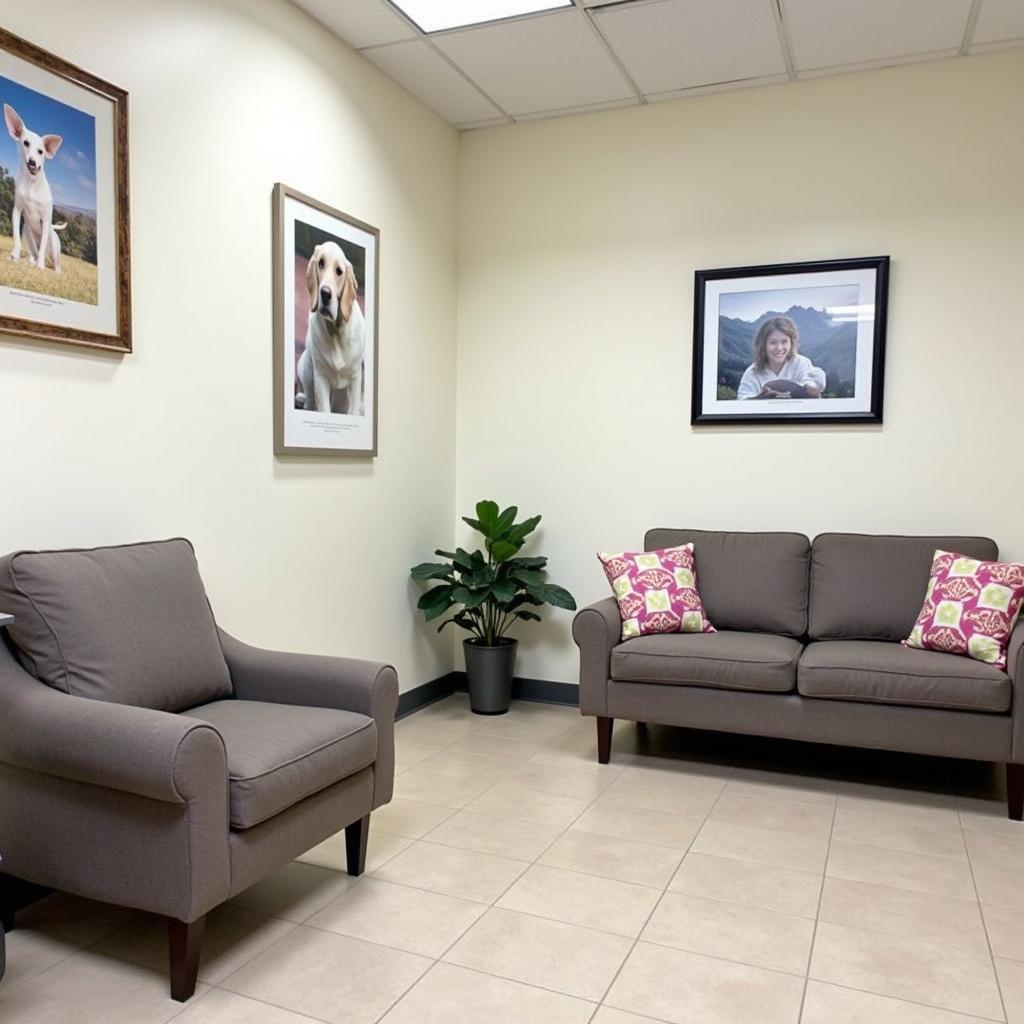 Comfortable Waiting Room at Rockland Animal Hospital