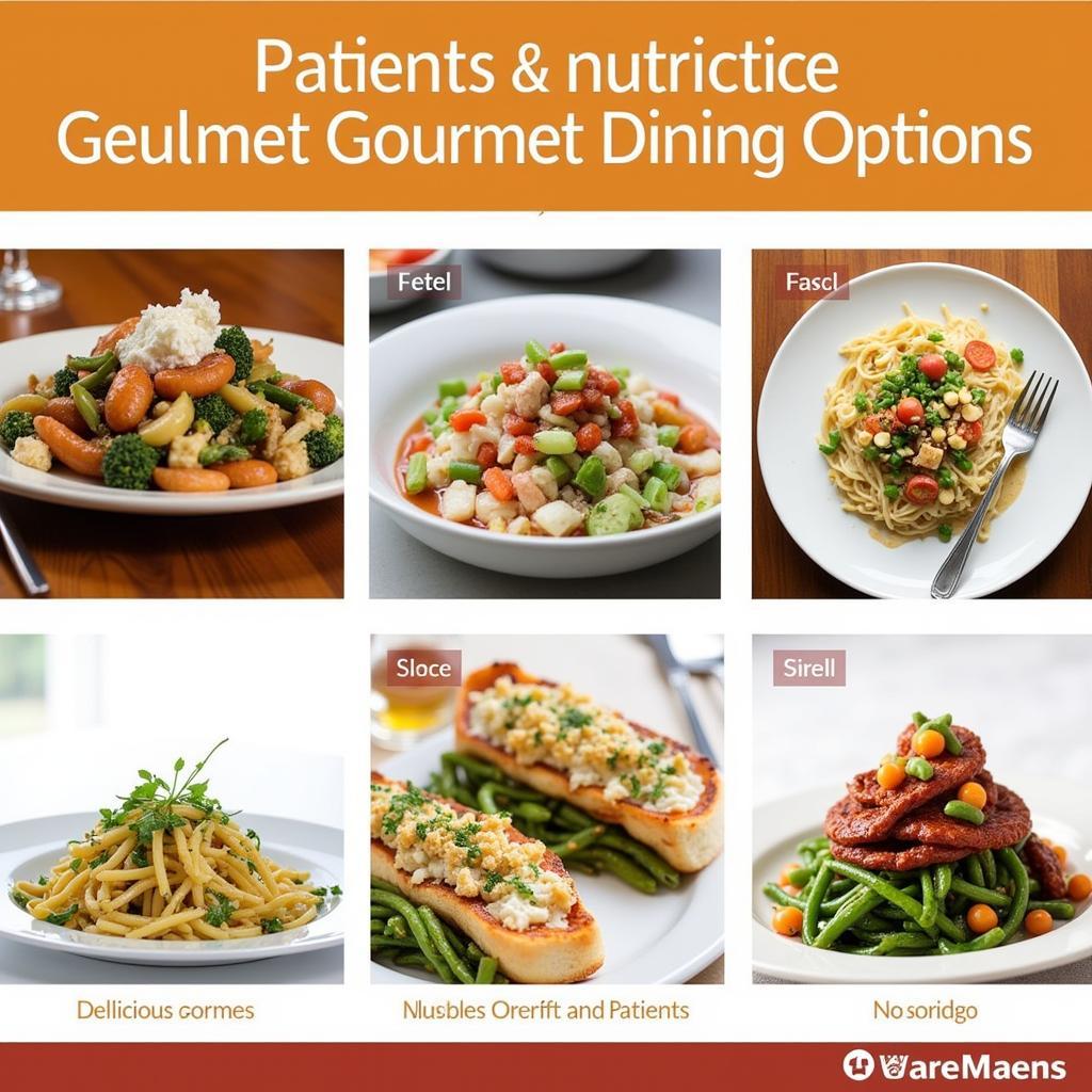 Gourmet Dining Options at San Jose Hospital