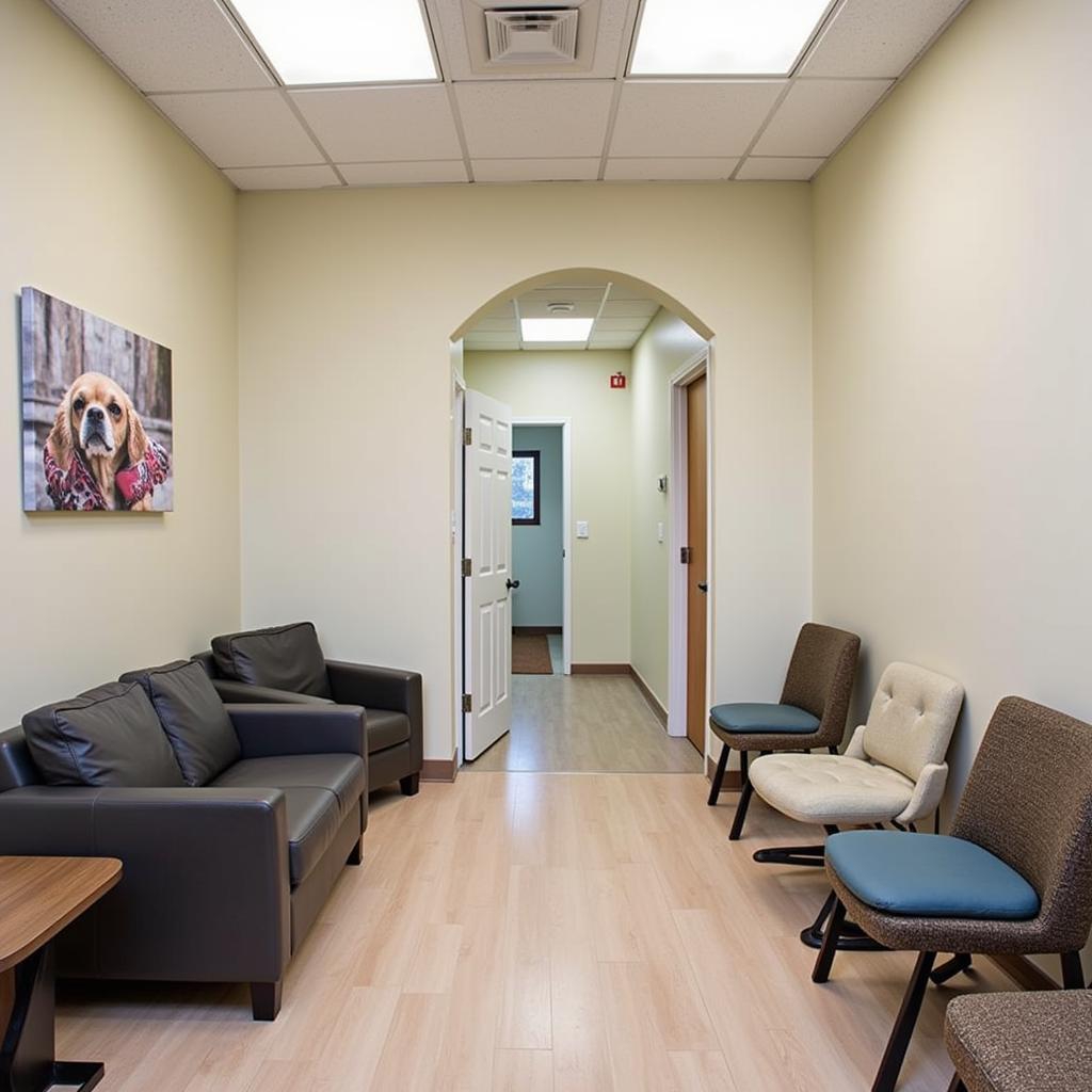 Comfortable Waiting Room at Santa Maria Animal Hospital