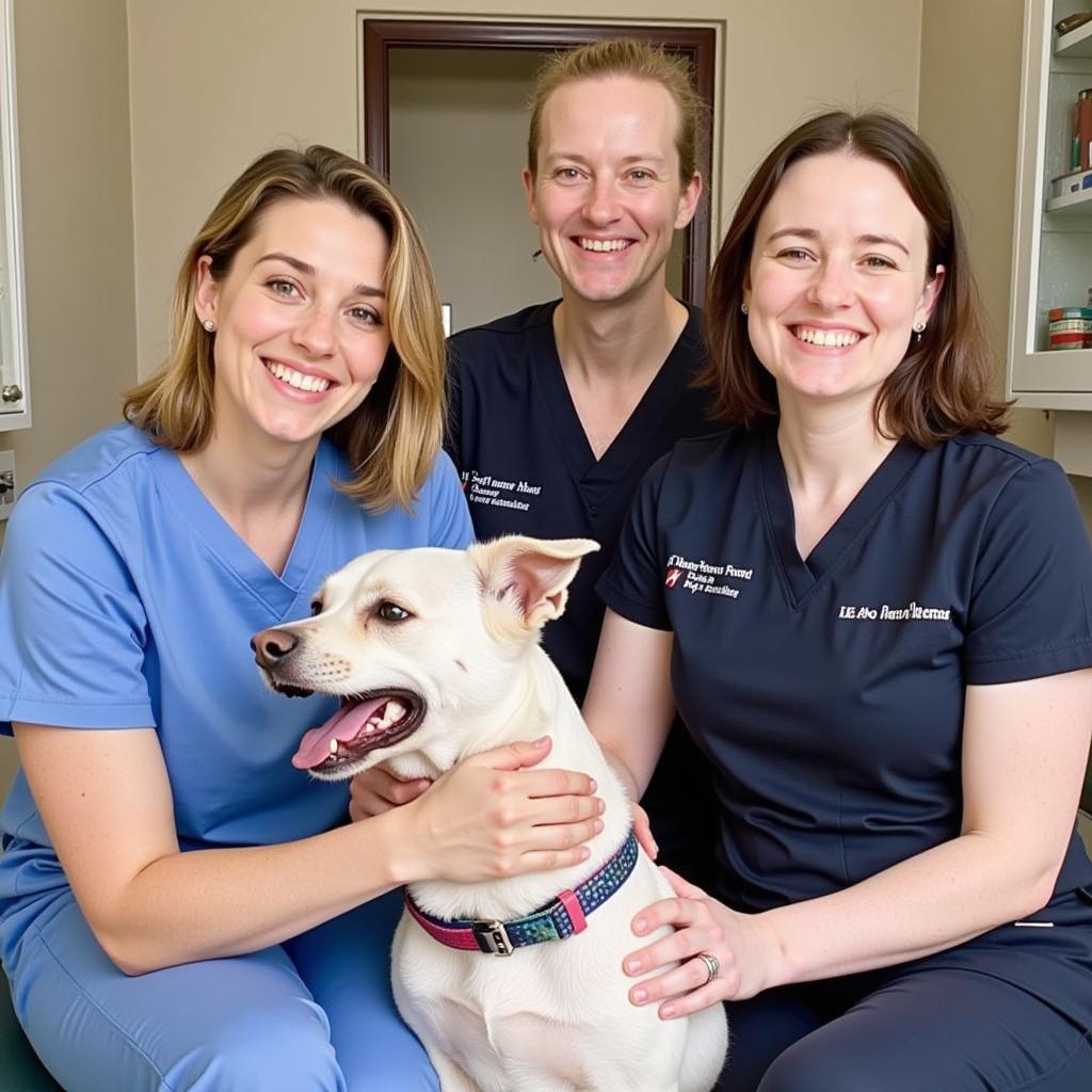 Dedicated and compassionate veterinary team at Shelter Island Veterinary Hospital