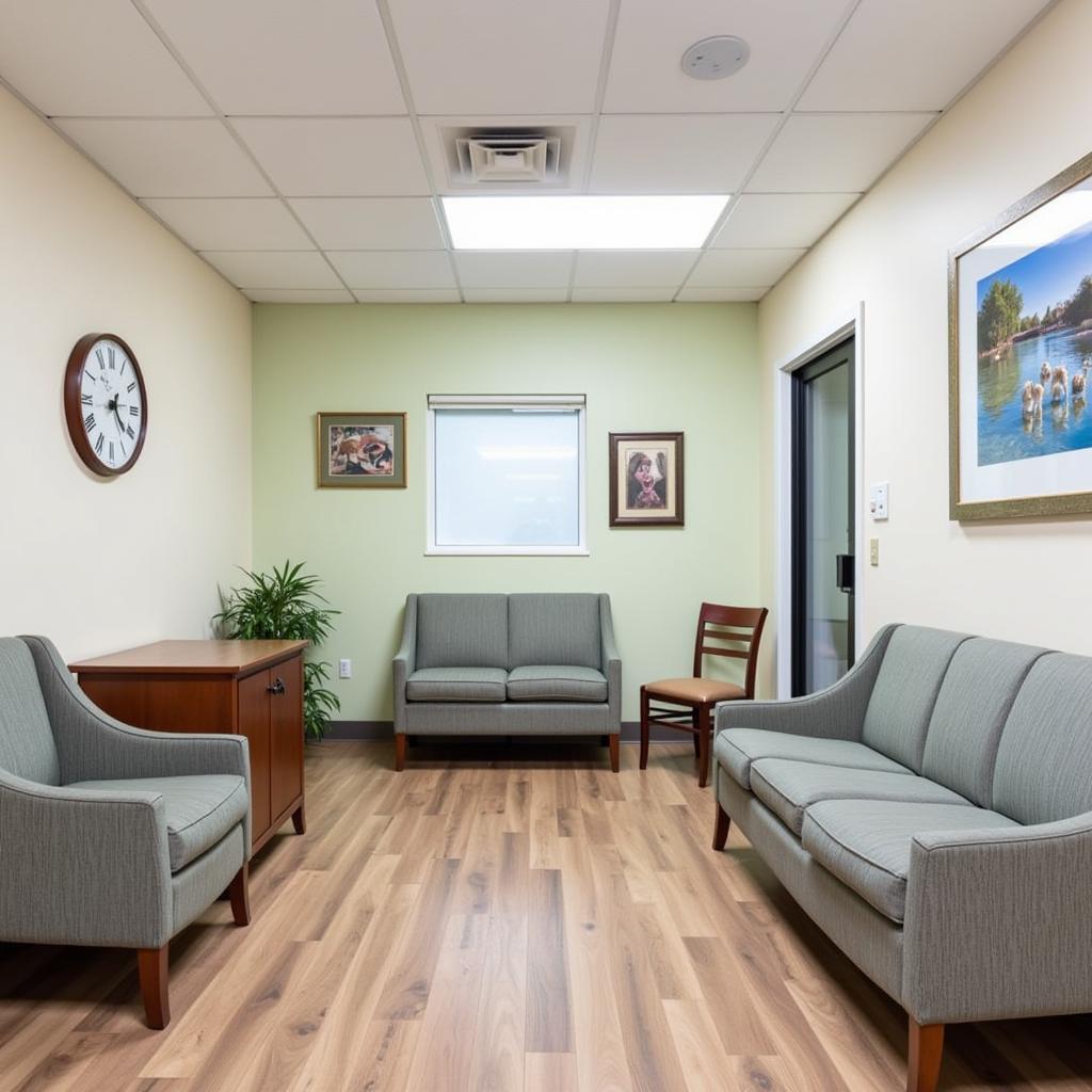 Comfortable Waiting Area at Simmons Veterinary Hospital