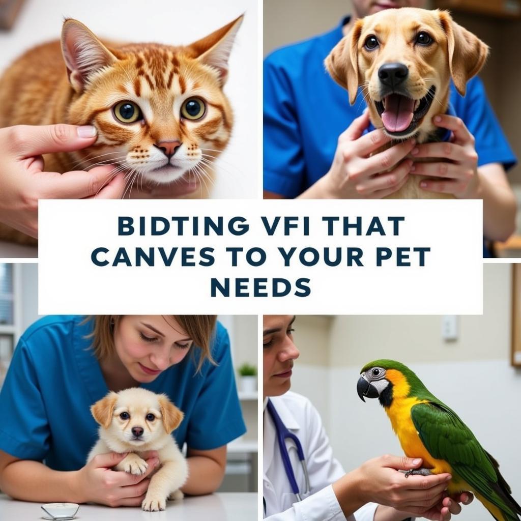 Specialized Veterinary Care for Different Breeds