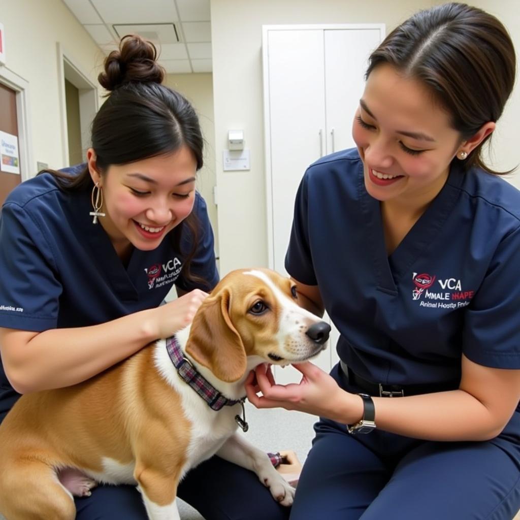 VCA Maple Shade Animal Hospital Staff