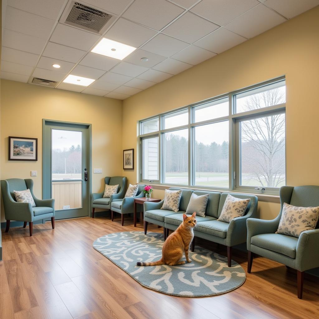 Waiting area of a combined cat hospital and bird clinic in Worcester