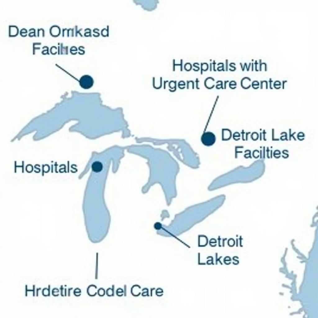 Detroit Lakes Healthcare Options Map