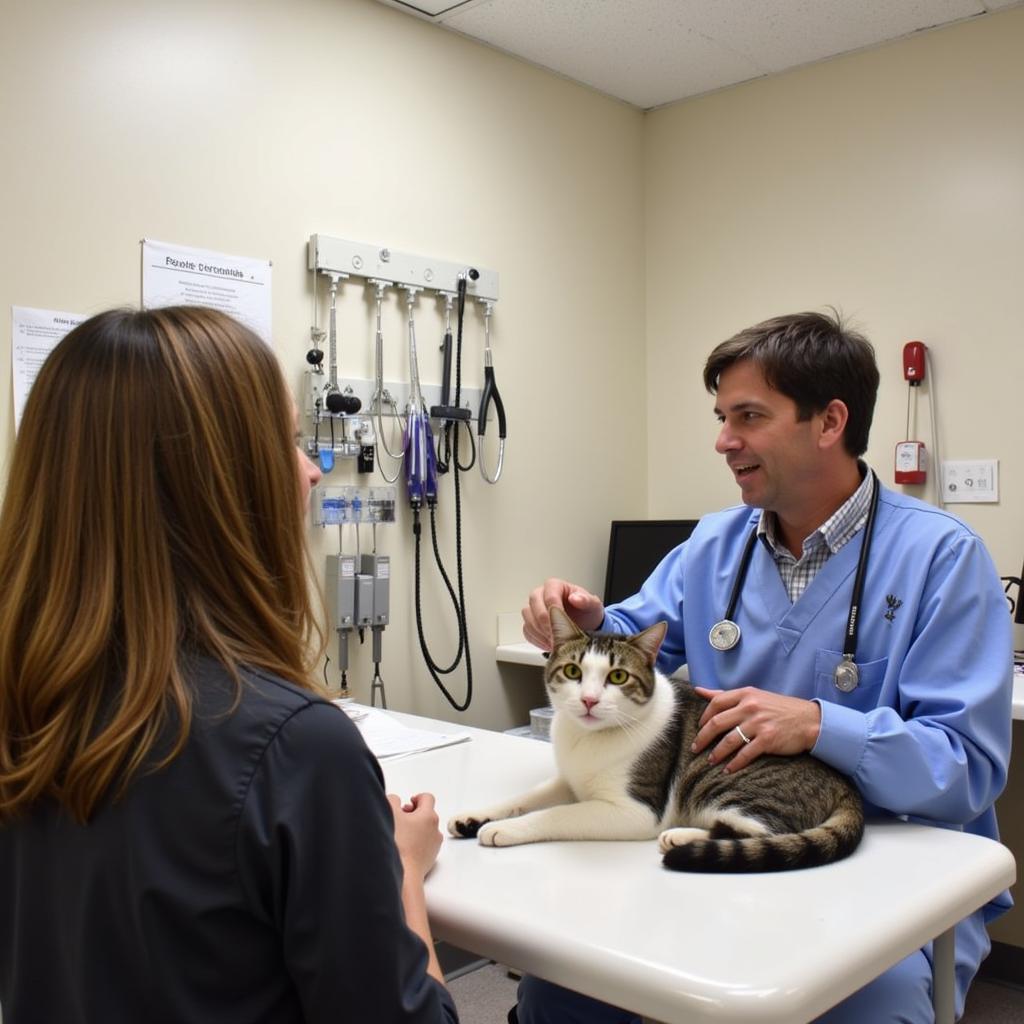 Fort Branch Veterinary Hospital Exam Room