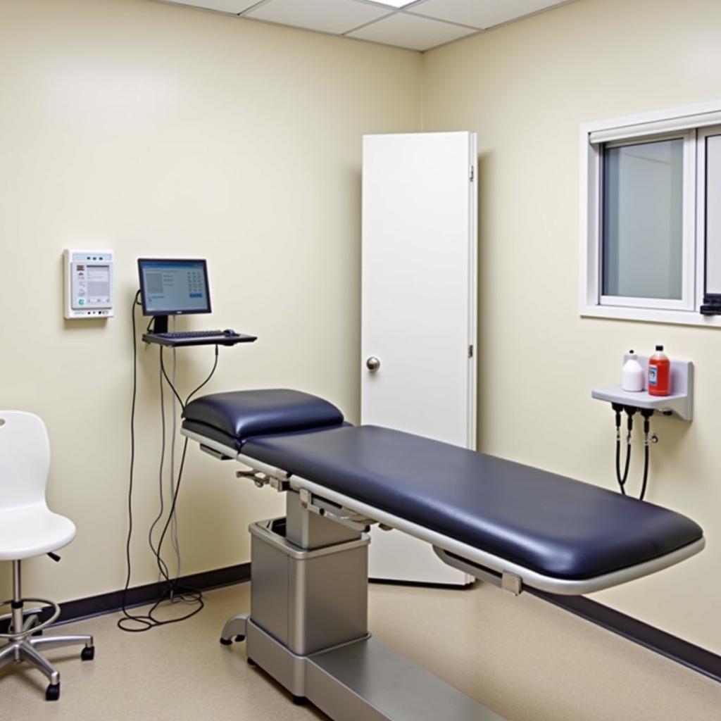 State-of-the-Art Exam Room at Golden Paws Animal Hospital