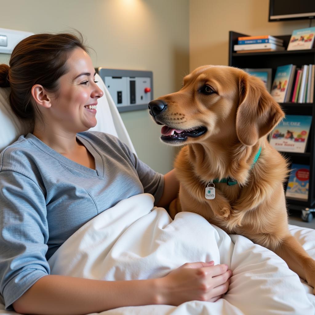 Pet Therapy and Library Access in a Hospital