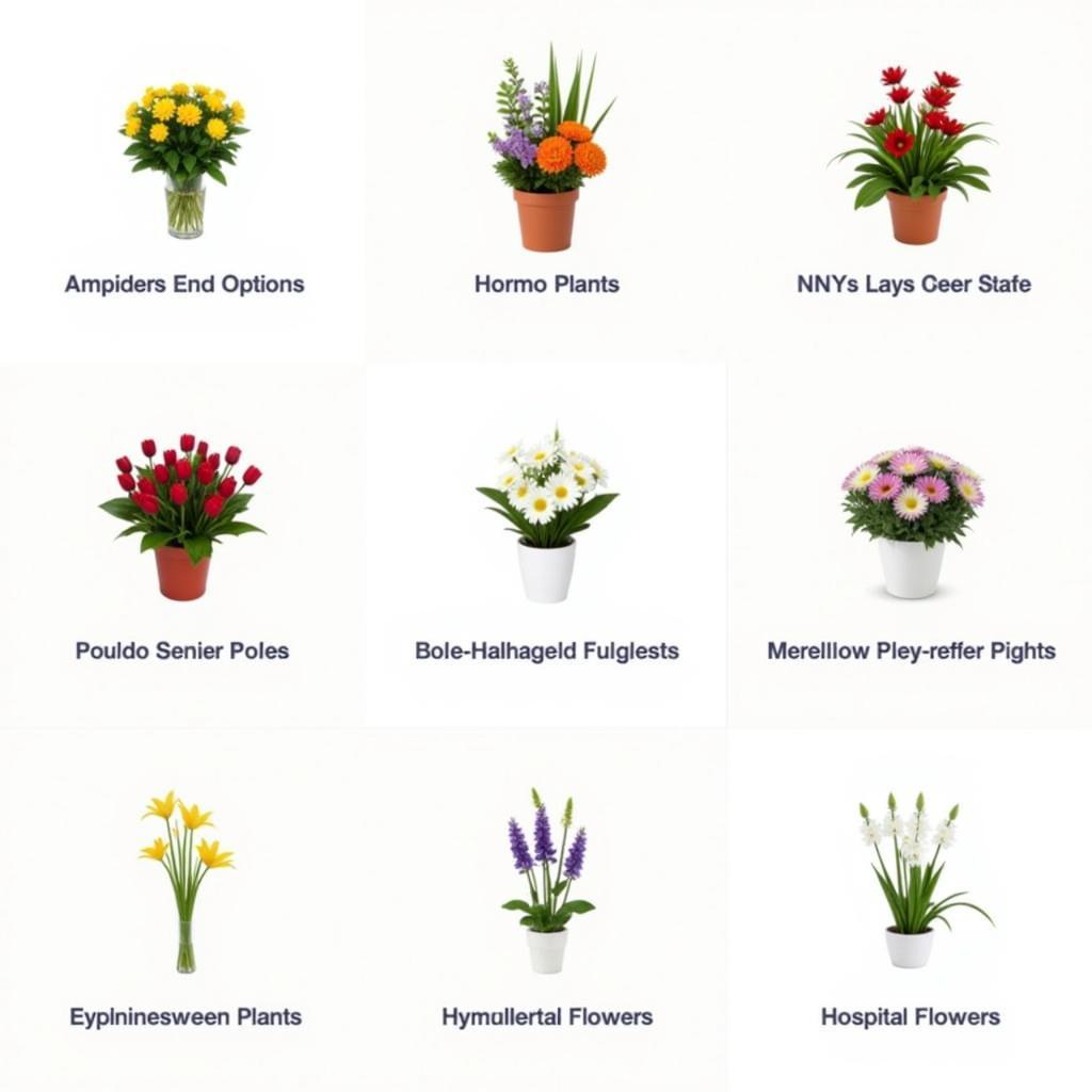 Various types of flowers and arrangements suitable for hospital delivery