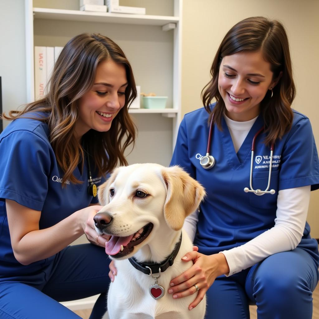 Kingston Animal Hospital Staff