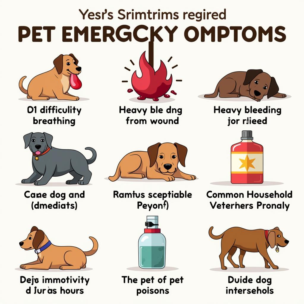 Pet Emergency Symptoms in Kingston, NY