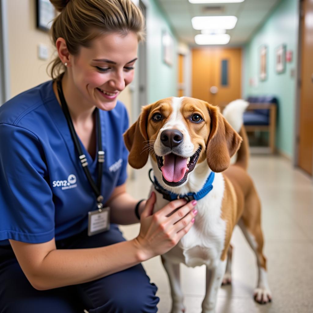 Happy and Healthy Pet at Purcellville Animal Hospital