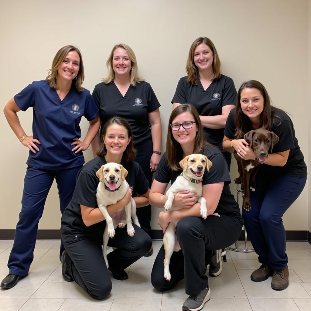 Dedicated Veterinary Team at Rathdrum Animal Hospital