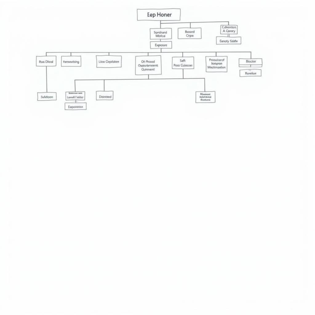 Hospital Organizational Chart and Staffing