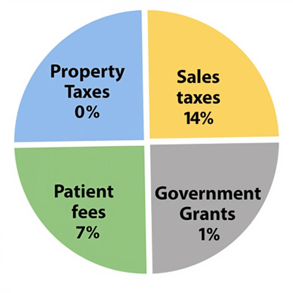 Sources of Funding for a Hospital Service District