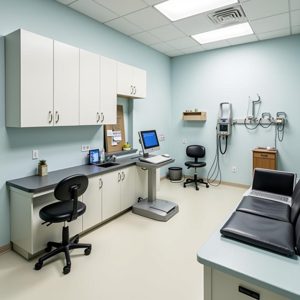 State-of-the-Art Exam Room at Village Crossroad Animal Hospital